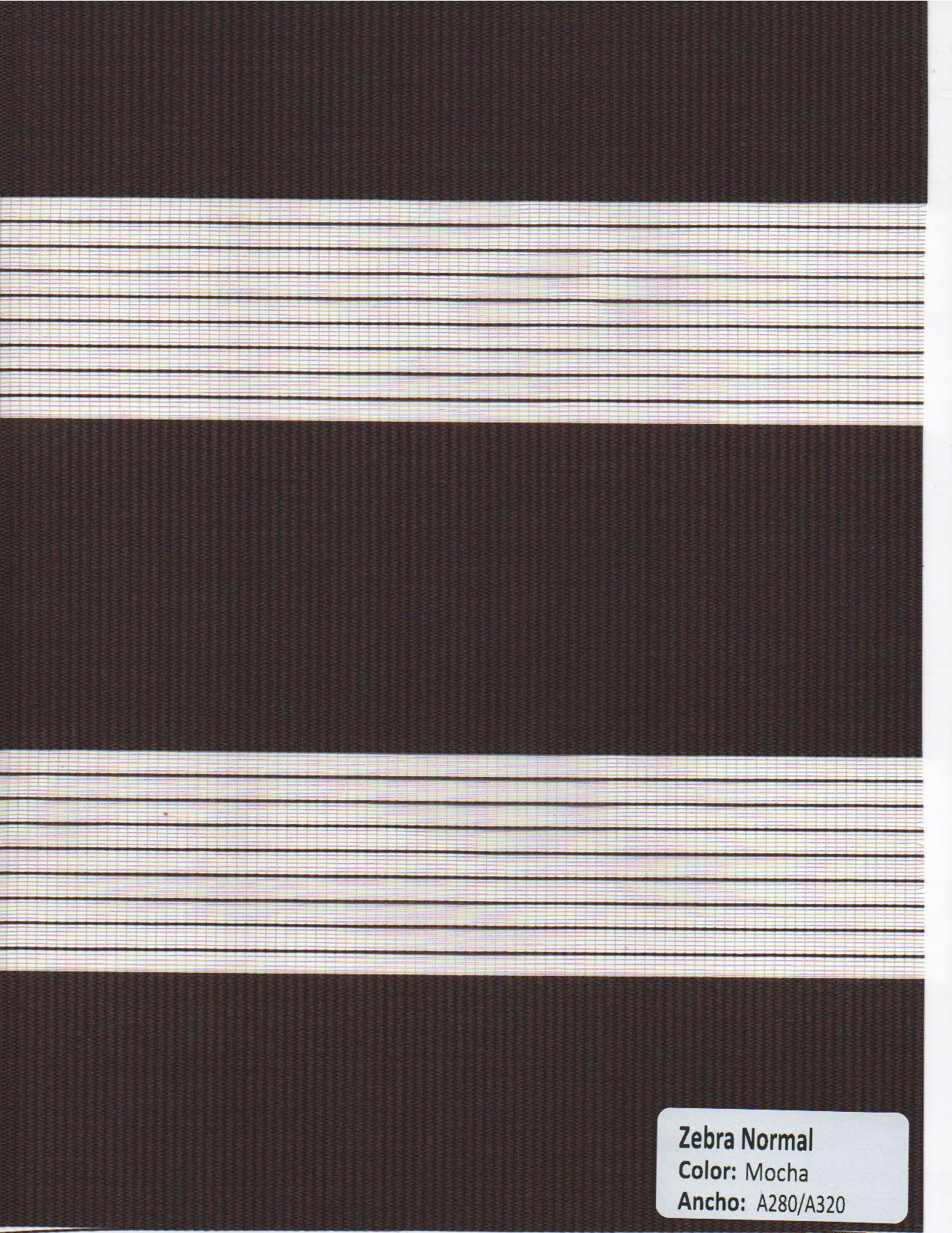 Zebra Normal Mocha